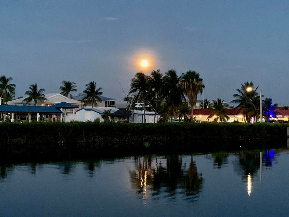 Full moon over palm trees and water reflection