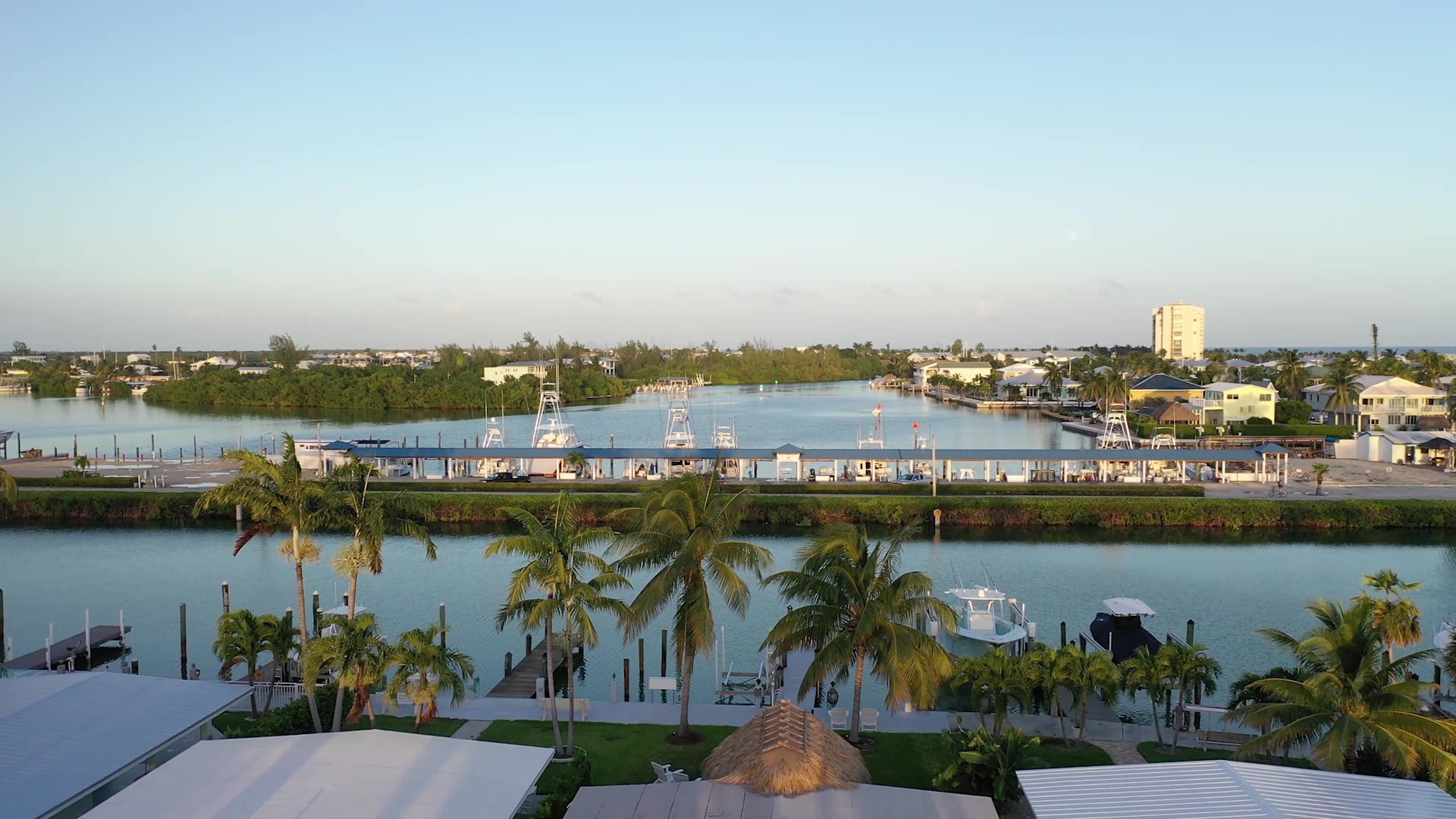 Waterfront canal with docks and palm trees