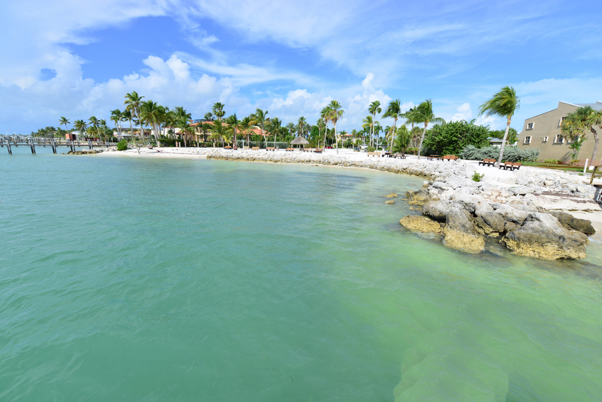 Tropical beach with palm trees and turquoise water