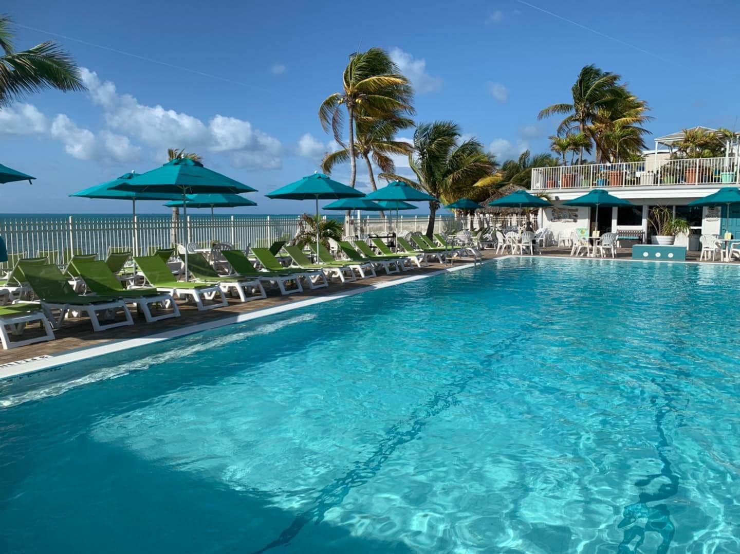 Oceanfront pool with loungers and umbrellas