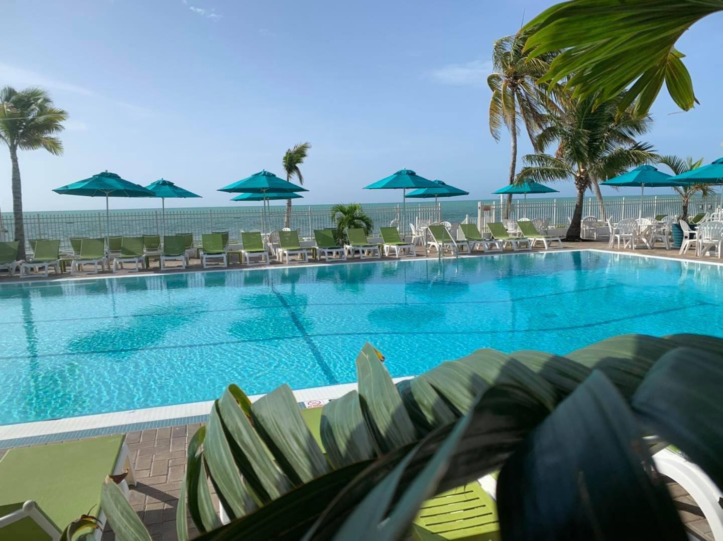 Oceanfront resort pool with turquoise umbrellas