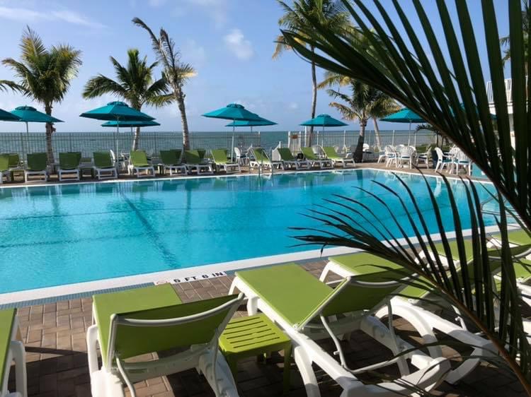 Oceanfront pool with lounge chairs and umbrellas