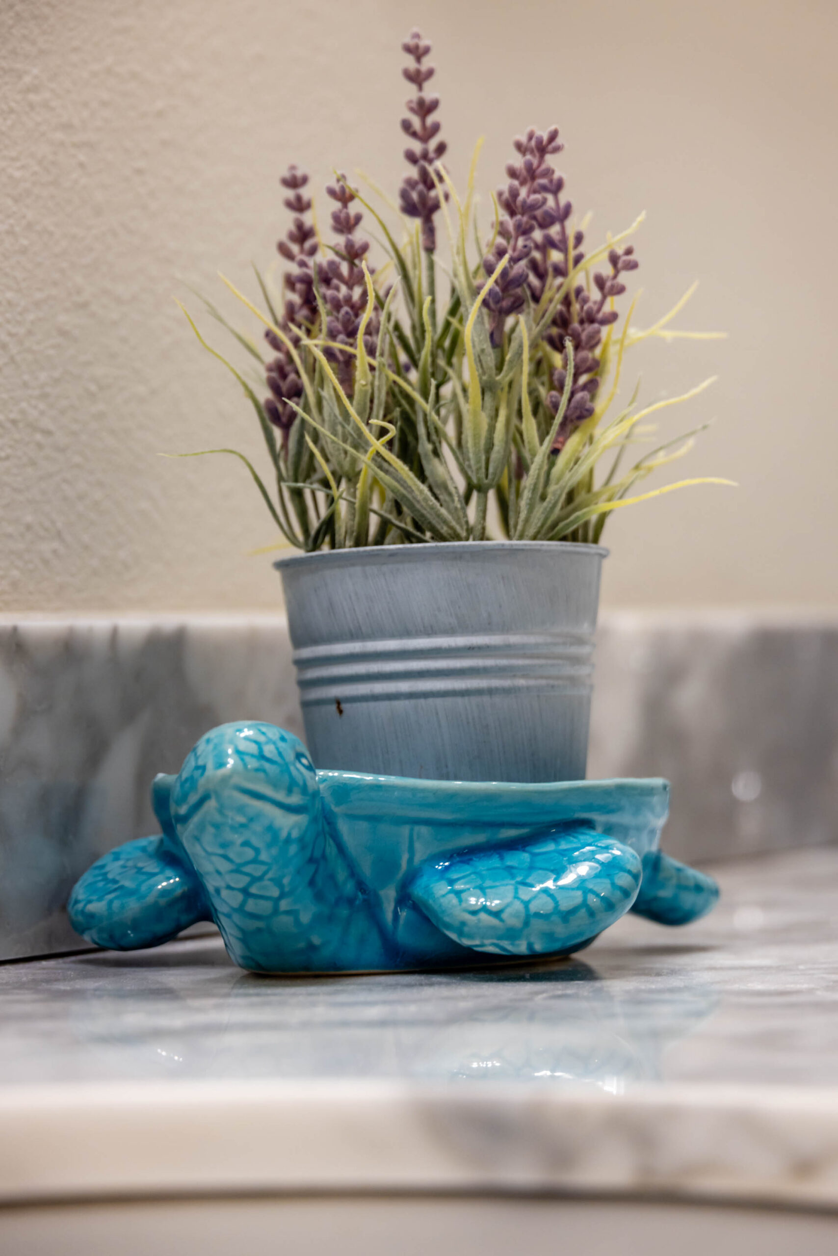 Potted lavender in gray pot on blue turtle