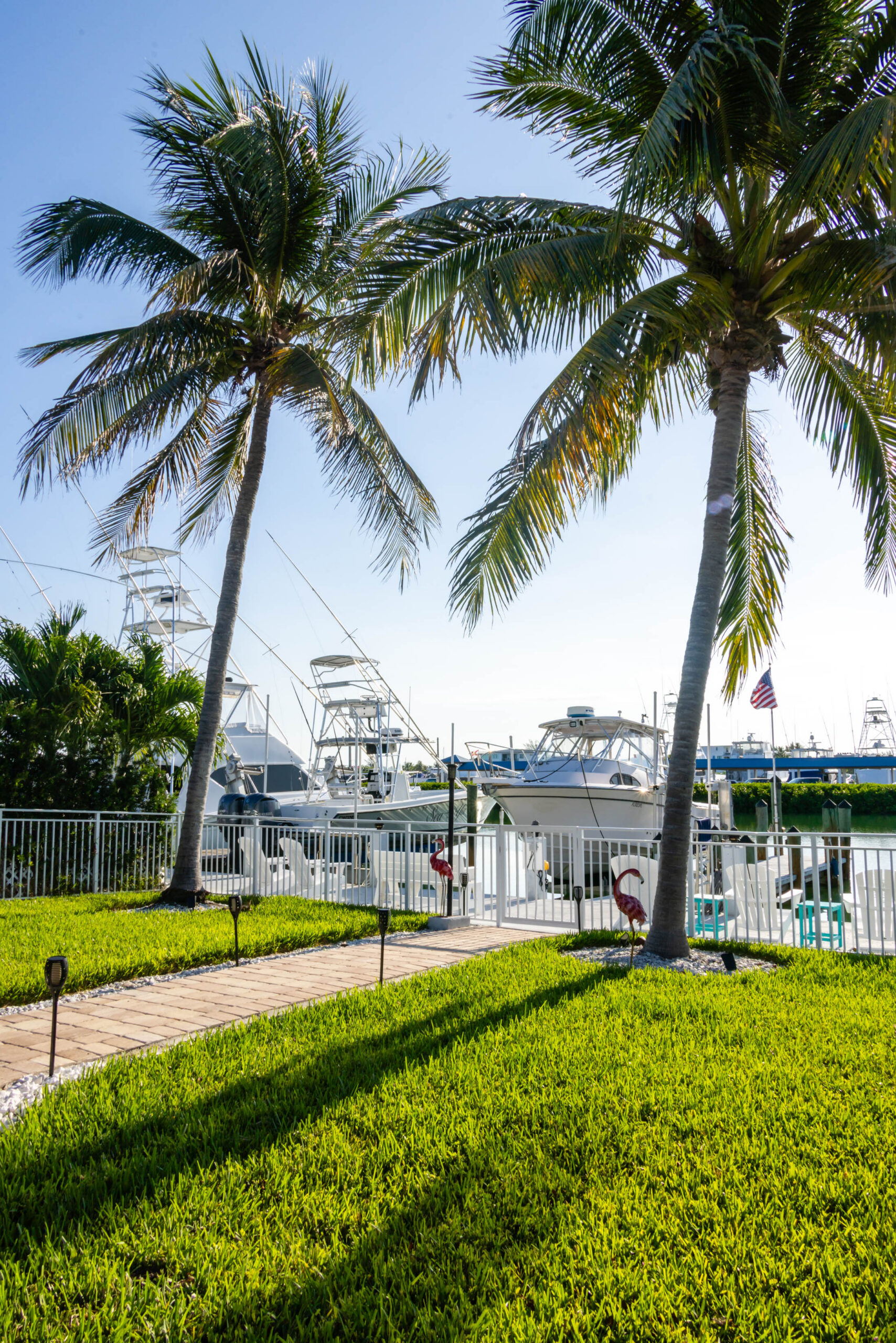 Palm trees overlooking yachts at sunny marina