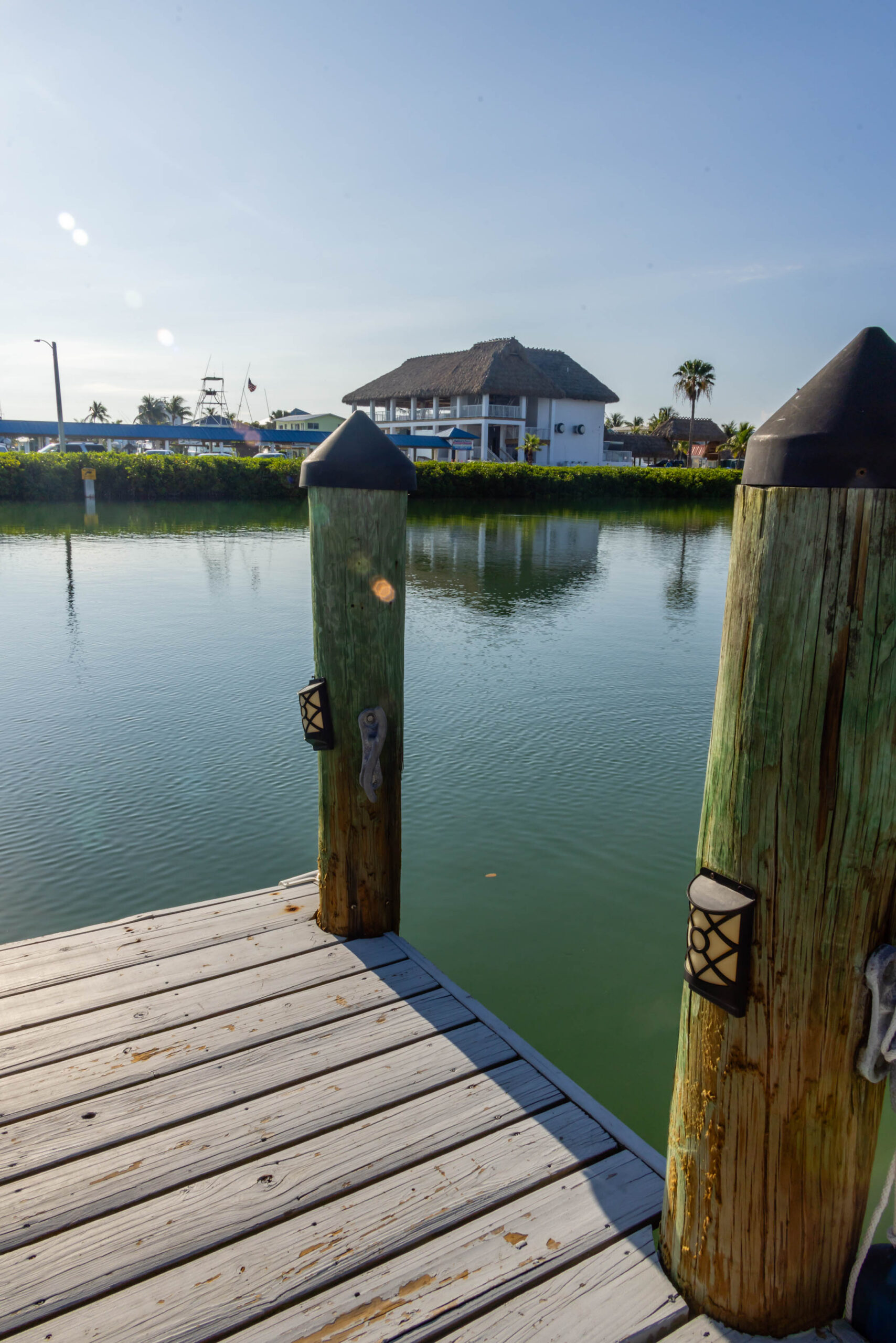 Wooden dock pilings overlooking calm marina water