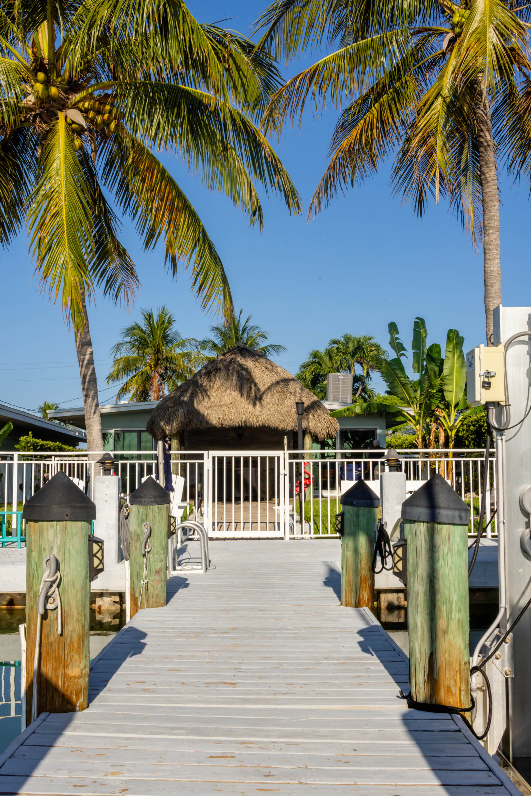 Wooden dock leading to tiki hut and palms