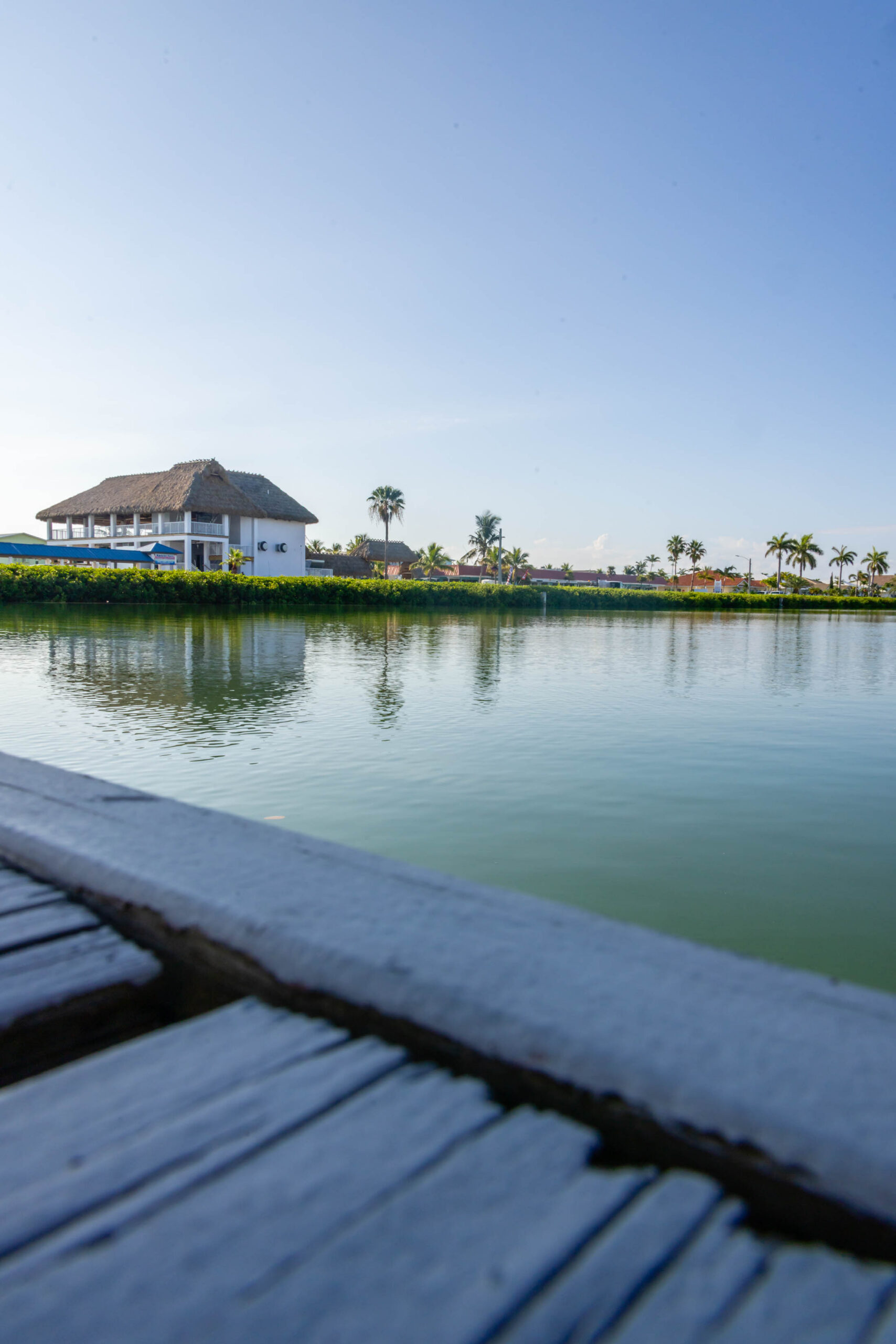 Waterfront house with palm trees and reflection
