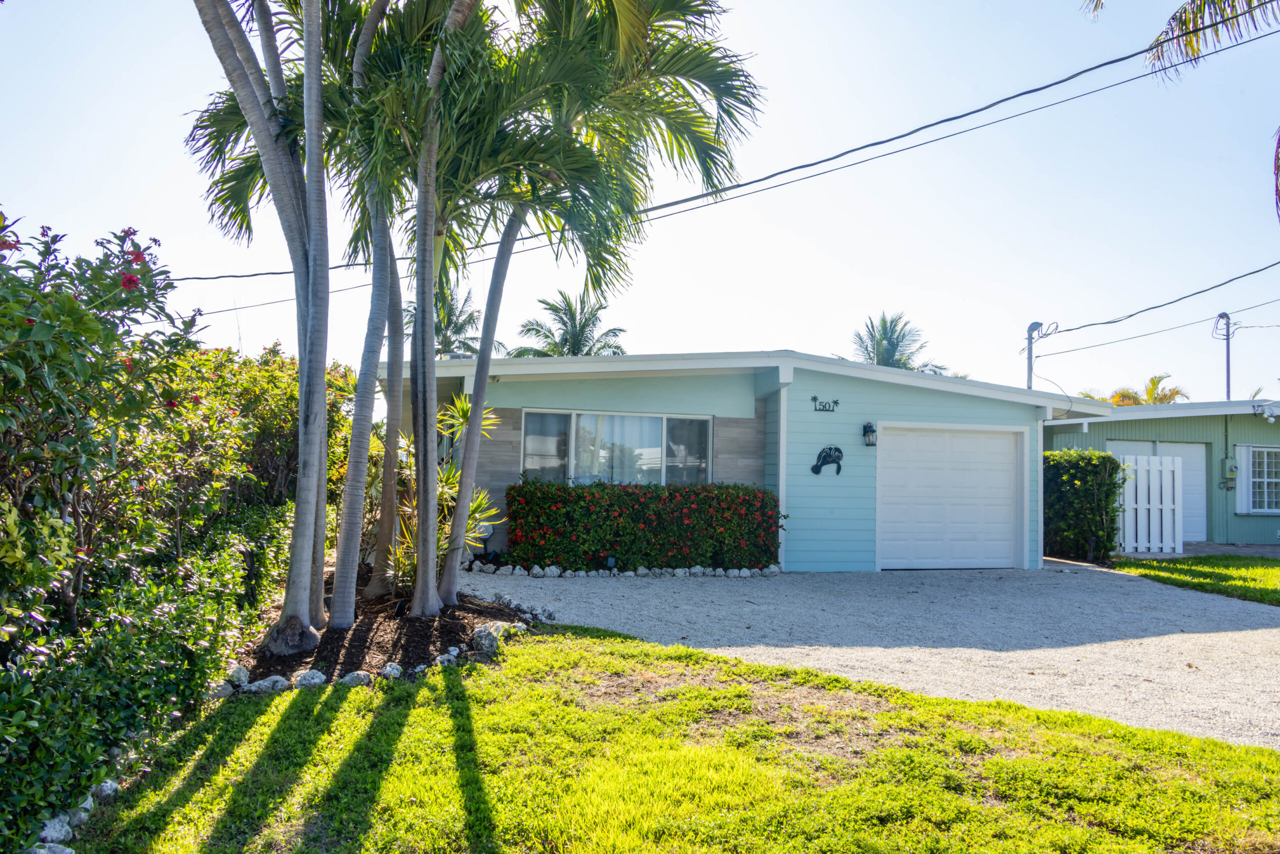 Single-story tropical house with palm trees