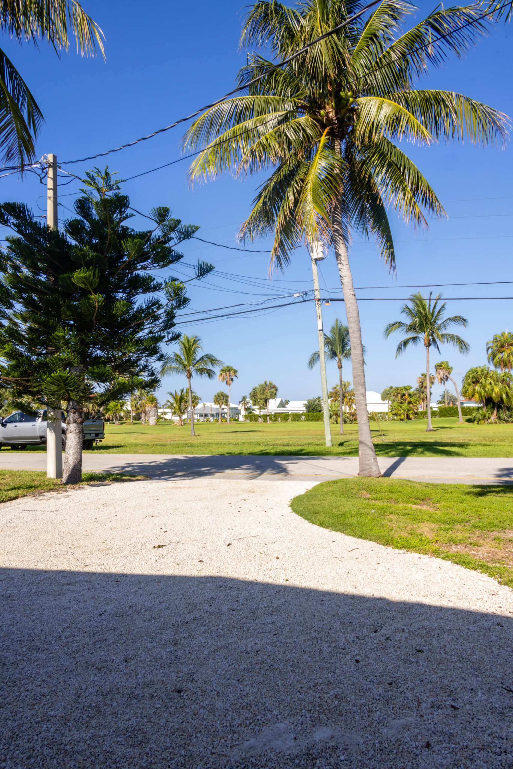 Gravel driveway with palm trees and lawn