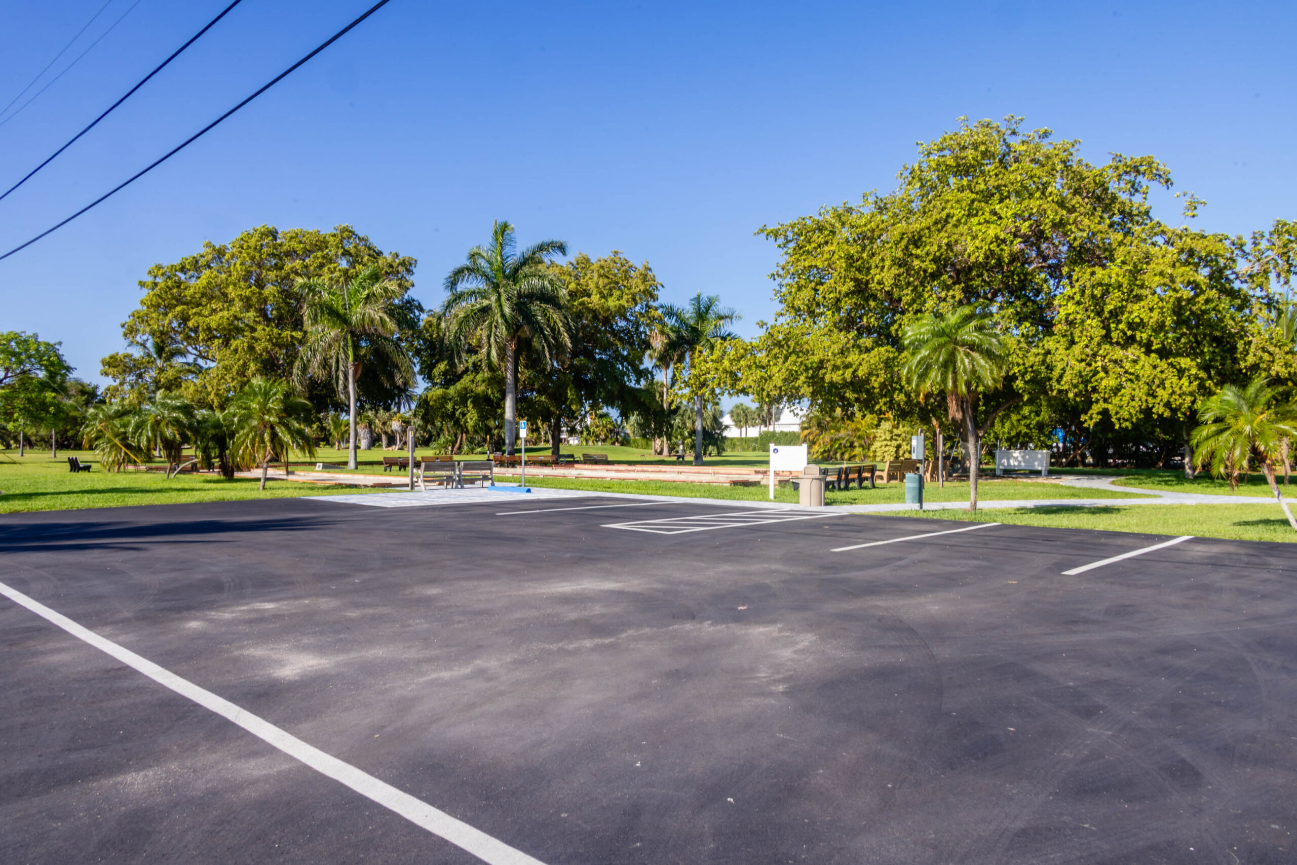 Empty parking lot with palm trees and park