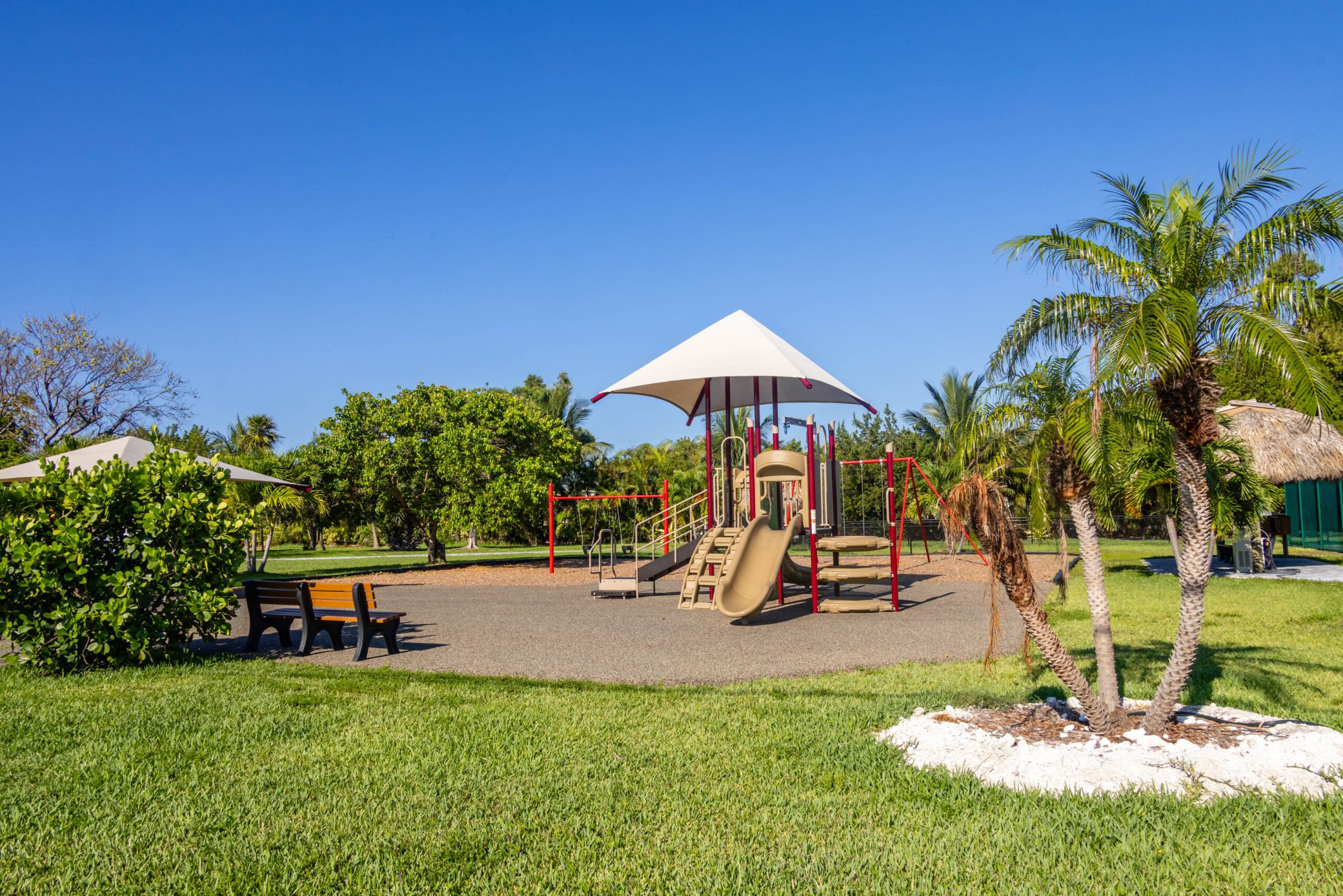 Park playground with slide, canopy, and palm trees