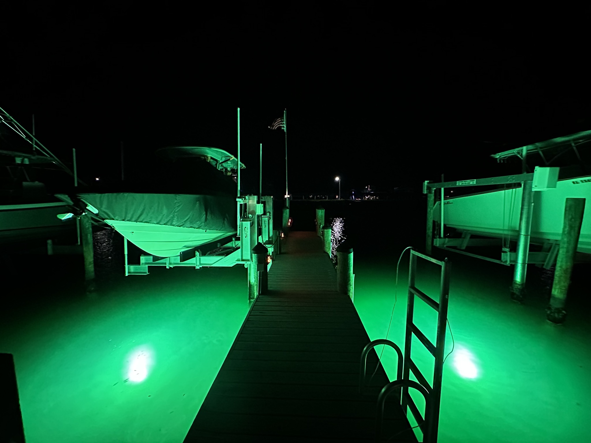 Marina dock at night with green lights