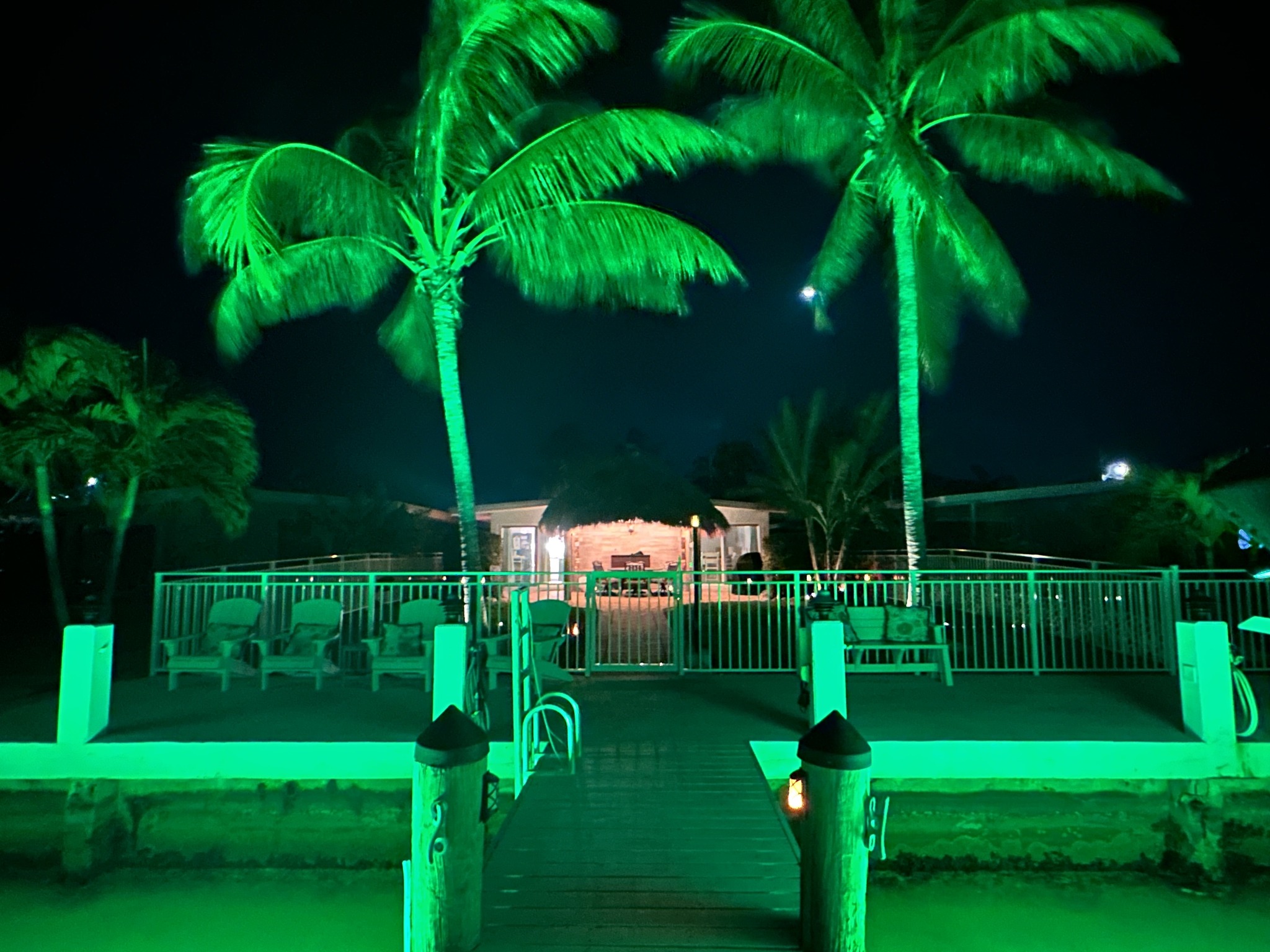 Green-lit tropical dock with palm trees at night