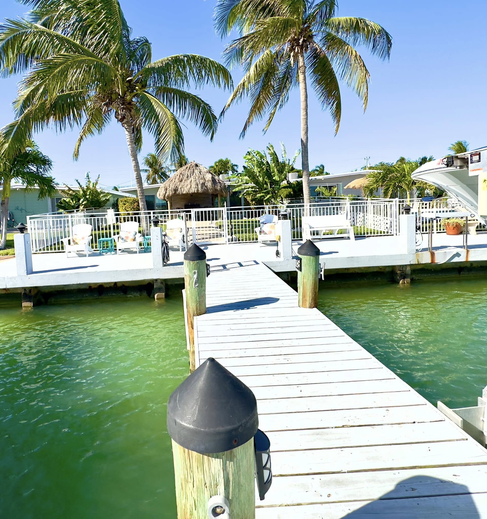 Dock leading to tropical waterfront home and palms