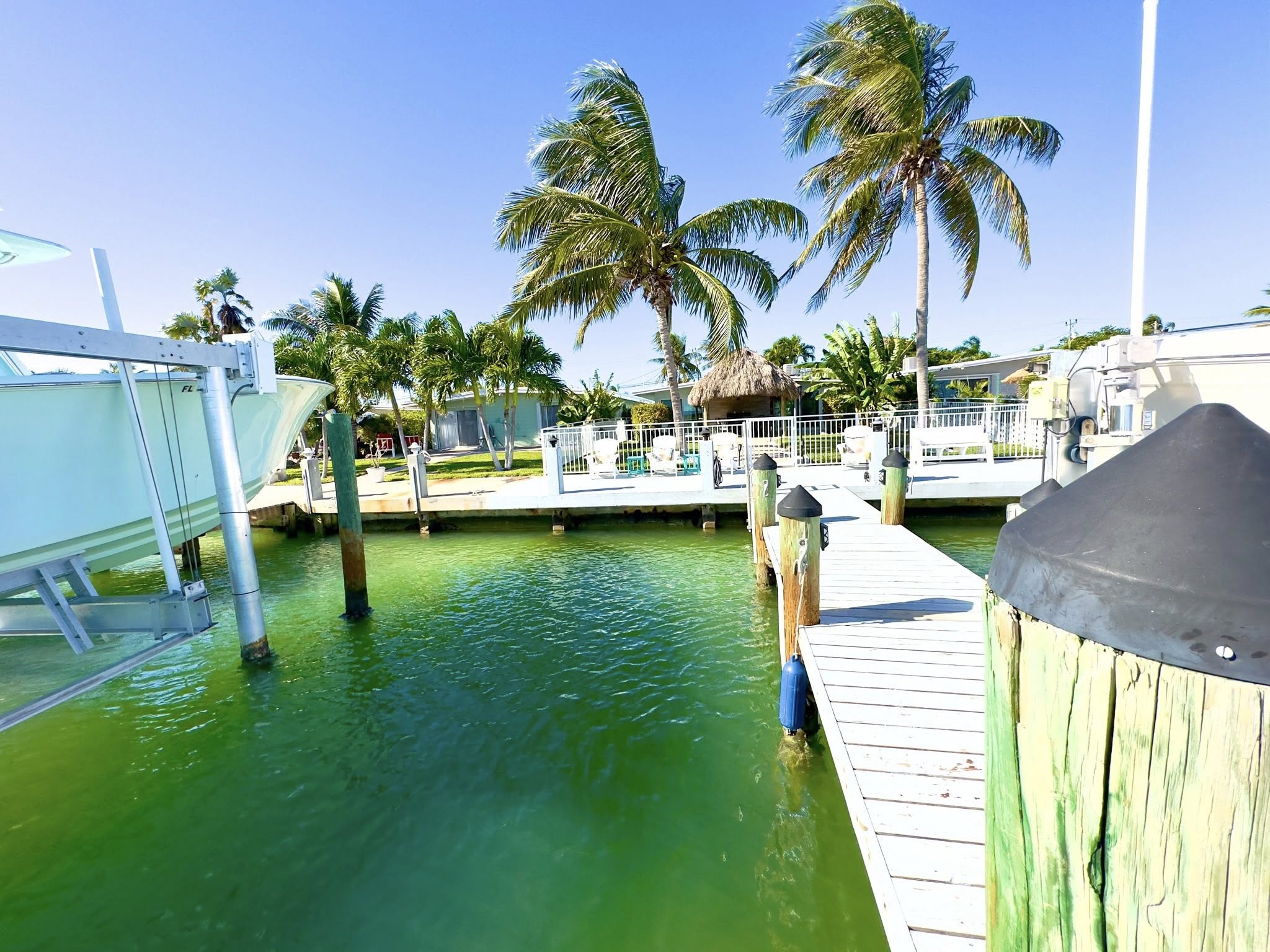 Tropical marina dock with palm trees