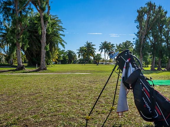 Golf bag on tropical golf course