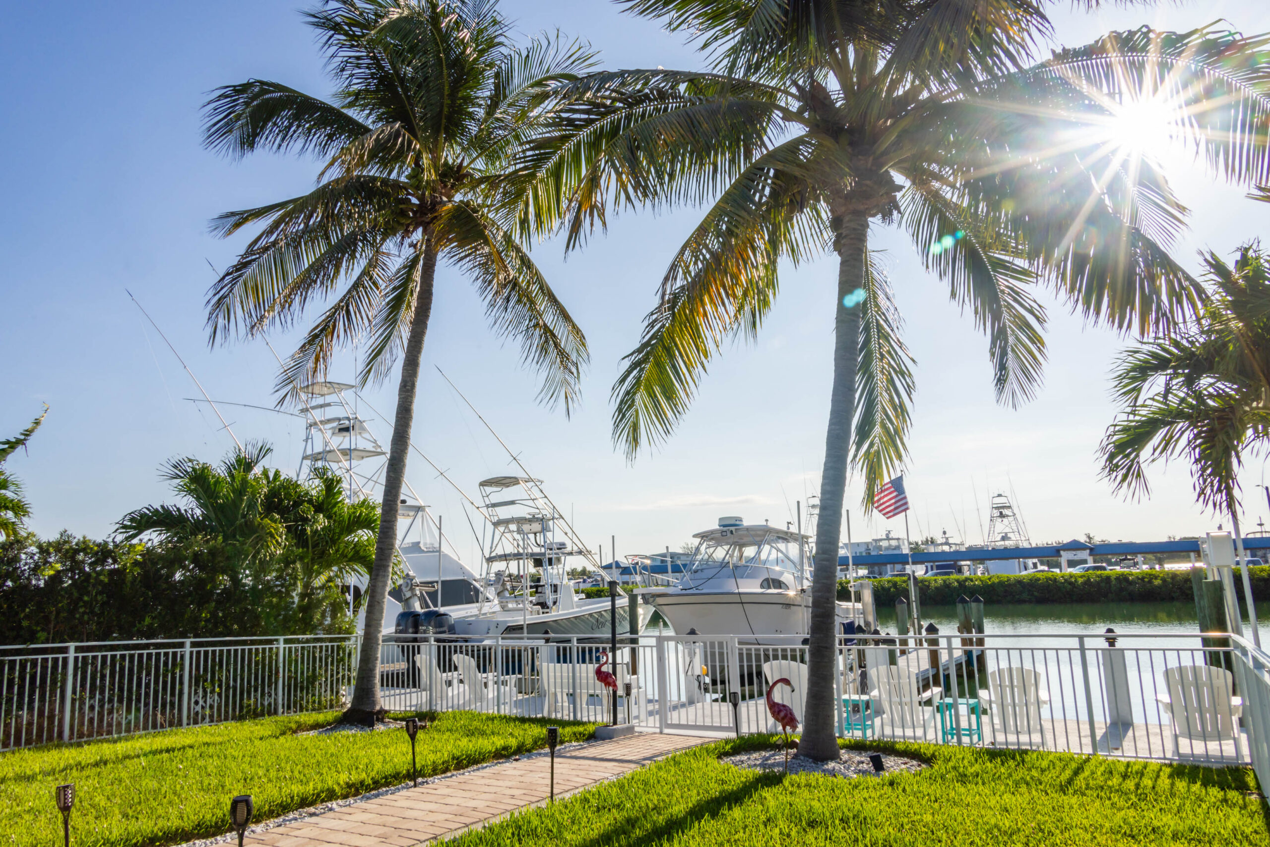 Sunlit palm trees and boats at marina