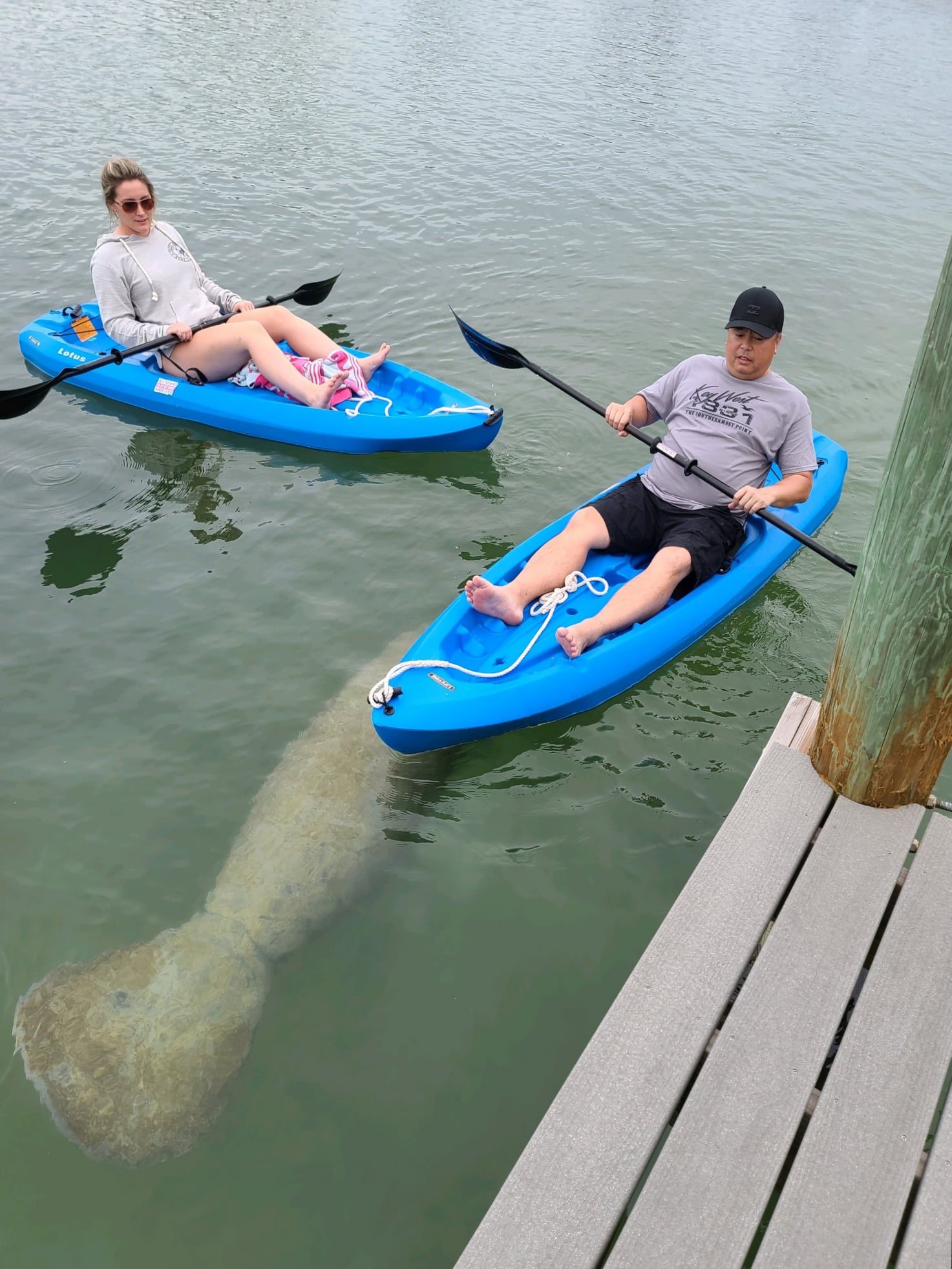 Two kayakers near dock above submerged log