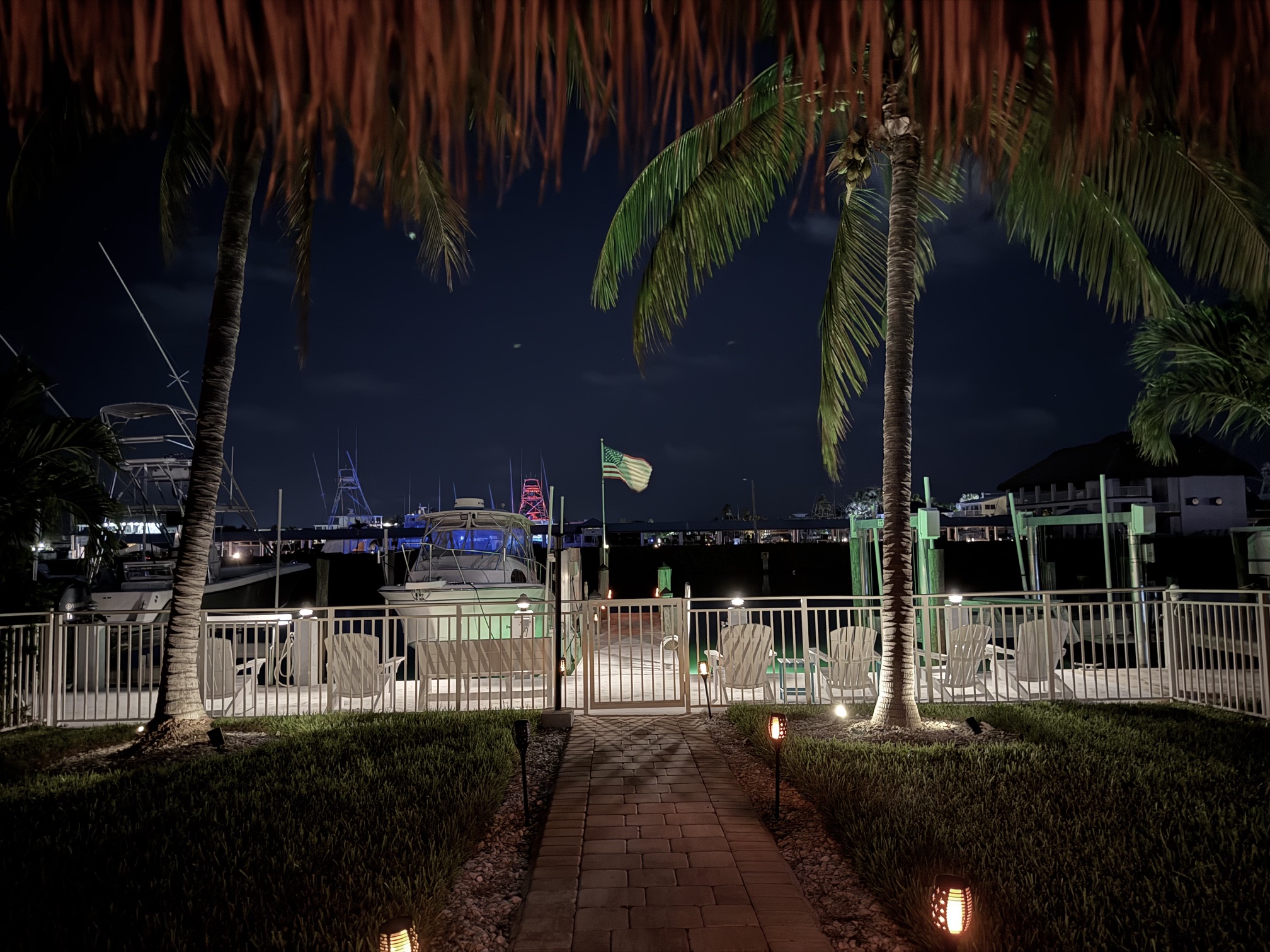 Nighttime marina with palm trees and boats