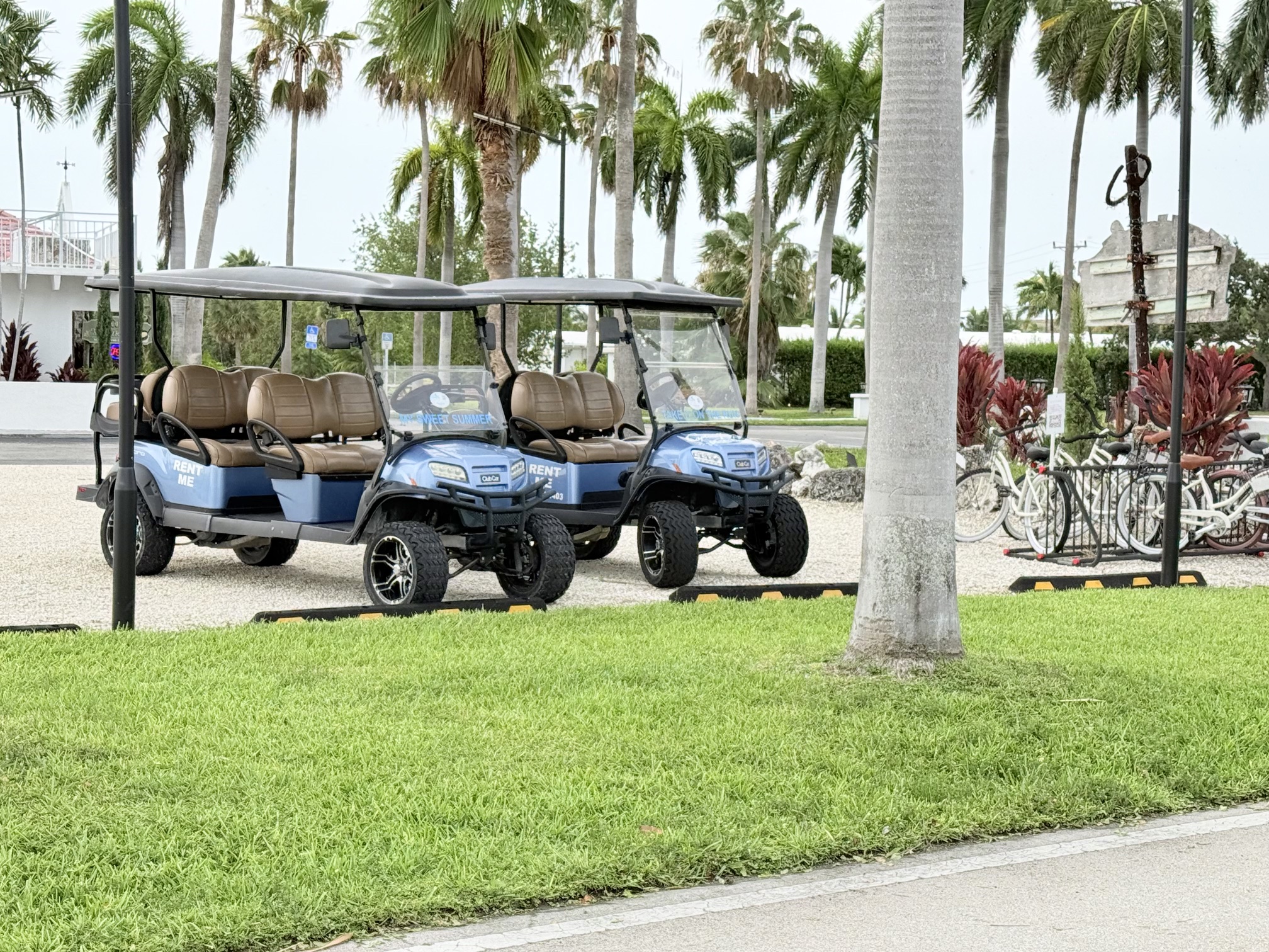 Two blue golf carts parked by palm trees