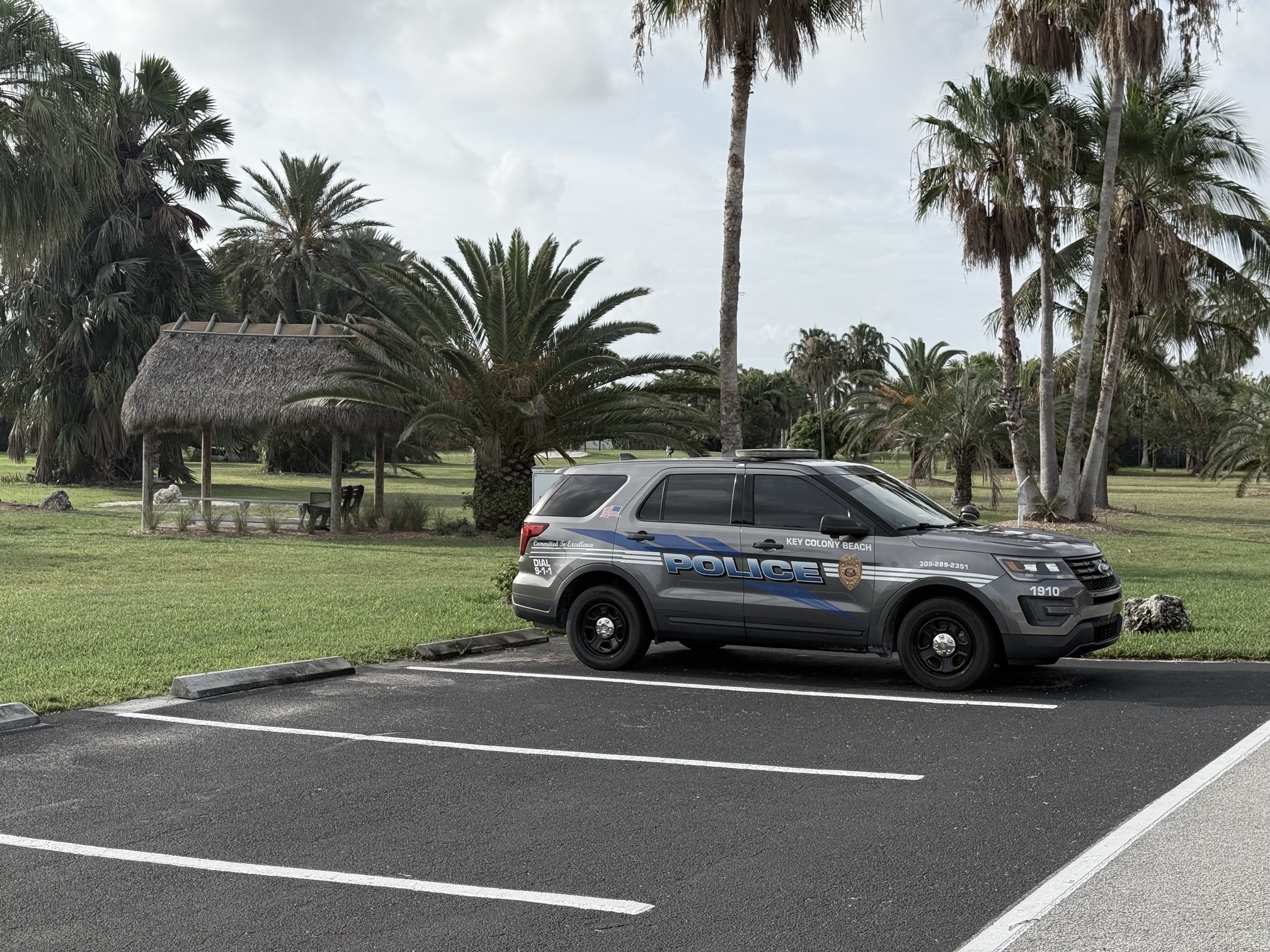 Police SUV parked by palm trees