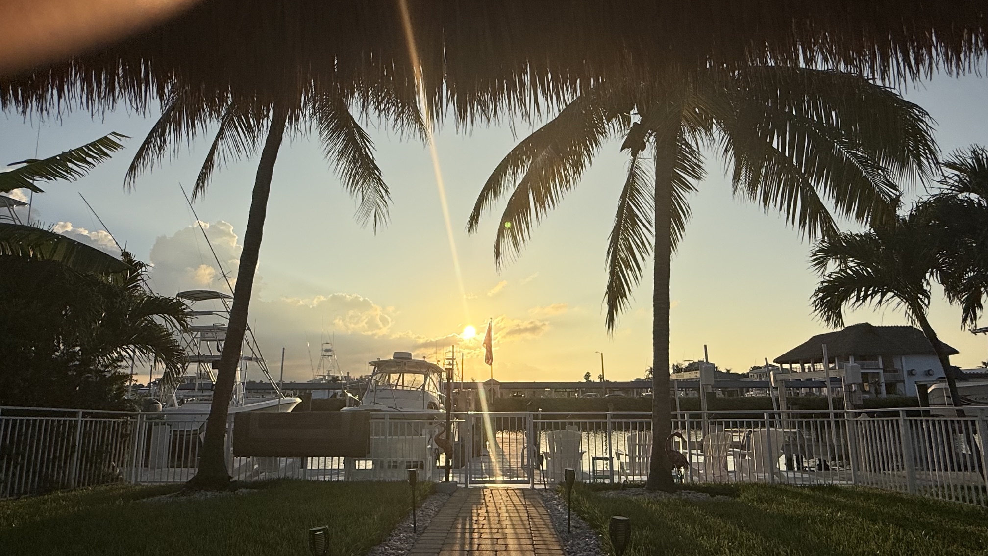 Sunset marina with boats framed by palms